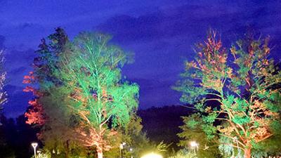Kunst und Illuminationen im Kurpark Bad Bevensen